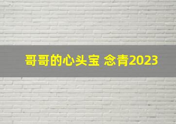 哥哥的心头宝 念青2023